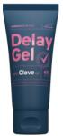 Cobeco Pharma Gel intarziere ejaculare Cobeco Clove Delay Gel 60 ml