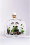  Alma Chiara Raganella gin (0, 5L / 42%) - whiskynet