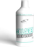 Pro Nutrition Alte suplimente nutritie sportiva Collagen Liquid 50.000 Portocale 1000 ml - vexio