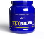 Pro Nutrition Amino acizi Aminoacizi pudra Pro Building Natur 500g - vexio