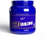 Pro Nutrition Amino acizi Aminoacizi pudra Pro Building Visine 500g - vexio