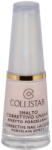 Collistar Puro Smalto Nail Lacquer 919 Porcellana Beige 10ml (20079969) - vexio
