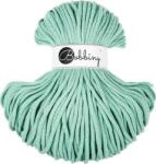 Bobbiny Premium 5 mm 100 m Jelly Mint юта (XX-E4124)