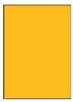 APLI Etichete, 210x297 mm, colorate, APLI, portocaliu neon, 20 etichete/pachet, 20 coli