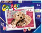 Ravensburger - CreArt pictura pe numere pentru copii catelus si pisicuta pe patura - RVSPBN20210 (RVSPBN20210)