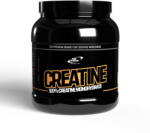 Pro Nutrition Creatina Creatină monohidrată pudră (Creapure) 500g