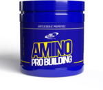 Pro Nutrition Amino acizi Aminoacizi 2: 1: 1 si L-arginina AKG 2: 1, Amino Pro Building 200 tablete - pcone