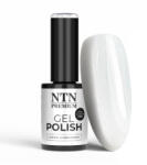 NTN Premium UV/LED Géllakk 318# (HEMA Free)