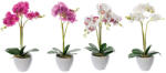 AdTrend Set 4 Orhidee in ghiveci 14 x 50 cm (71148)