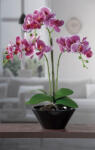 AdTrend Orhidee roz artificiala in ghiveci 20 x 53 cm (55481)