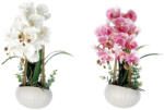 AdTrend Set 2 Orhidee artificiale in ghiveci 16, 5 x 44 cm (74897)