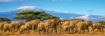 Nathan - Puzzle Herd Of Elephants panorama - 500 piese