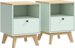 HOMCOM Set de 2 noptiere, noptiere cu sertar și compartiment deschis, 40 x 40 x 55 cm, stejar și verde deschis | Aosom Romania (83D-196V00LN)