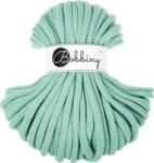 Bobbiny Jumbo 9 mm 30 m Jelly Mint Șnur (<![CDATA[BT-E128]]>)