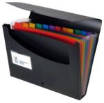 Viquel Placă acordeon, PP, 12 compartimente, VIQUEL „Rainbow Class, neagră