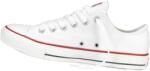 Converse chuck taylor as low sneaker