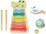 Tooky Toy Fa xilofon (TF570  Xylophone)