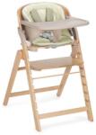 Jané Scaun de masa multifunctional pliabil, Jane, Forest, Sage (8420421093405) Scaun de masa bebelusi, inaltator