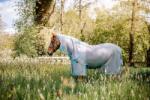 Horseware Ireland AmEco Bug Buster Plus, Silver/Sky Blue - 155 cm