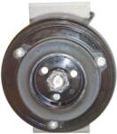 MAHLE Compresor, climatizare MAHLE ACP 129 000S (ACP 129 000S)