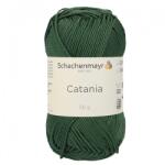 Schachenmayr Catania 419 - fenyő