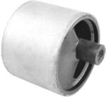 TEDGUM Suport Motor Spate 00467995 Nissan Primera