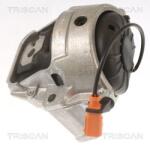 TRISCAN Suport motor TRISCAN 8505 29178 (8505 29178) - automobilus