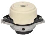 REINHOCH Suport motor REINHOCH RH11-3103 (RH11-3103) - automobilus