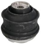 REINHOCH Suport Motor Dreapta Rh11-3012 Mercedes-Benz C-Class/C-Class T-Model/Clc-Class (RH11-3012)