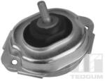 TEDGUM Suport Motor Fata Stanga 00088547 Bmw X3 (00088547)