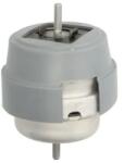 REINHOCH Suport Motor Dreapta Rh11-0063 Audi A4 B6/A4 B7 Seat Exeo (RH11-0063)