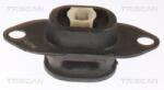 TRISCAN Suport motor TRISCAN 8505 25116 (8505 25116) - automobilus