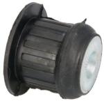 REINHOCH Suport motor REINHOCH RH19-0002 (RH19-0002) - automobilus