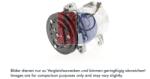 AKS DASIS Compresor, climatizare AKS DASIS 850274N (850274N)