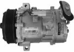 AIRSTAL Compresor, climatizare AIRSTAL 10-0589 (10-0589) - automobilus