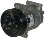 DELPHI Compresor, climatizare DELPHI TSP0155829 (TSP0155829)