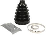 PASCAL Ansamblu Burduf, Articulatie Planetara Spre Roata G5R035Pc Renault Master Ii (G5R035PC)