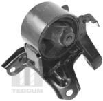 TEDGUM Suport motor TEDGUM TED40055 (TED40055)