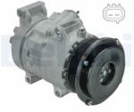 DELPHI Compresor, climatizare DELPHI CS20496 (CS20496) - automobilus