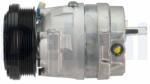 DELPHI Compresor, climatizare DELPHI TSP0155656 (TSP0155656) - automobilus