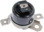 CORTECO Suport Motor 49389724 Volvo S60 Ii/S80 Ii/V60 I/V70 Iii/Xc60 I/Xc70 Ii (49389724)