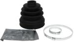 PASCAL Ansamblu burduf, articulatie planetara PASCAL G6A011PC (G6A011PC) - automobilus
