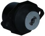 KAMOKA Suport motor KAMOKA 890793 (890793) - automobilus