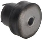 S-TR Suport motor S-TR STR-15A235 (STR-15A235) - automobilus