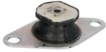REINHOCH Suport motor REINHOCH RH11-1007 (RH11-1007) - automobilus
