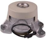 TEDGUM Suport motor TEDGUM TED77064 (TED77064) - automobilus
