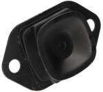 KAVO PARTS Suport motor KAVO PARTS EEM-6678 (EEM-6678) - automobilus