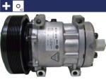 MAHLE Compresor, climatizare MAHLE BEHR ACP 1066 000S (ACP 1066 000S)