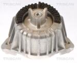 TRISCAN Suport motor TRISCAN 8505 23101 (8505 23101) - automobilus