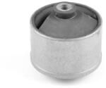 TEDGUM Suport motor TEDGUM 00447927 (00447927) - automobilus